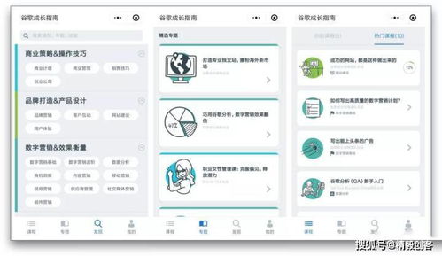 百度蜘蛛池租用:单页面打造高效蜘蛛池，网站优化新策略