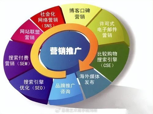 网络技术推广服务