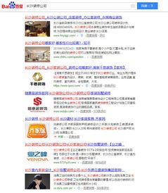公司seo是什么级别