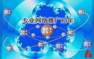 专业网络推广机构