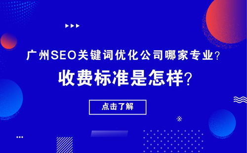 广州seo排名优化公司