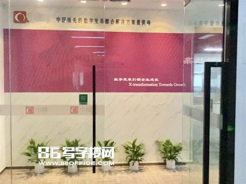 百度蜘蛛池出租:深度解析，爬我免费蜘蛛池——揭秘高效网络信息抓取的秘密武器