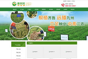 长沙建站优化