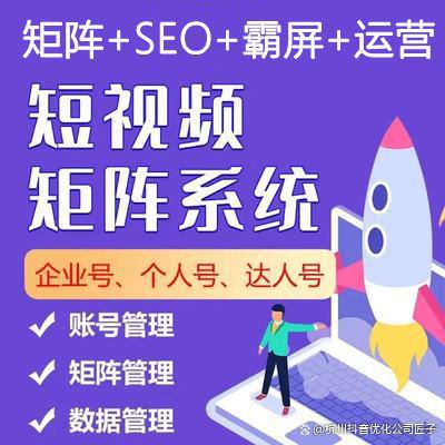 抖音seo排名优化软件