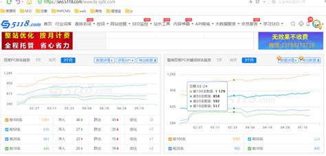 北京seo诊断