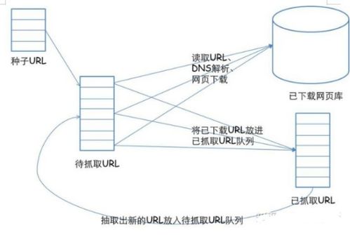百度蜘蛛池出租:蜘蛛池设置攻略，构建高效网络爬虫系统的关键步骤