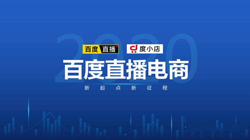 百度服务商