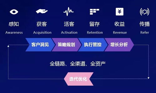 百度蜘蛛池引流:排名和蜘蛛池，哪个是网络营销的得力助手？