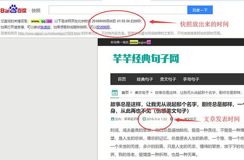 百度蜘蛛池咨询:揭秘搜狗蜘蛛池吧，如何打造高效的搜索引擎优化策略