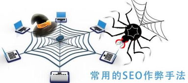 百度蜘蛛池租用:深入解析谷歌蜘蛛池程序设置，优化SEO的关键一步