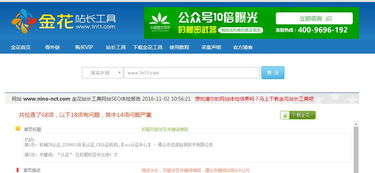 百度蜘蛛池优化:金花站长工具蜘蛛池，揭秘高效网站收录的秘密武器