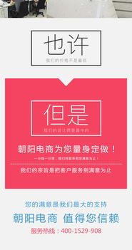 朝阳网站建设公司