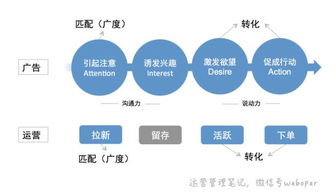 公司运营策划营销