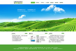 企业网站是什么