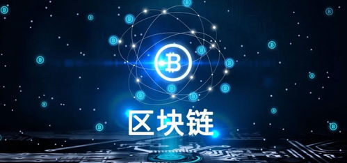 百度蜘蛛池价格:黑侠外推蜘蛛池，效果显著，助力网络营销新篇章