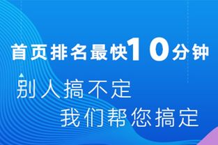 百度蜘蛛池收录:360蜘蛛池租用哪家强？揭秘行业翘楚，助您高效提升网站收录
