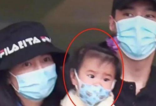 百度蜘蛛池价格:惊悚瞬间！蜘蛛在洗手池视频走红网络，网友直呼太吓人！