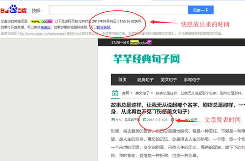 百度蜘蛛池出租:外推蜘蛛池分类与优化策略探讨