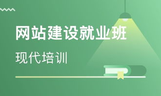 临沂seo网站管理