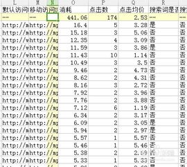 竞价专员是做什么的