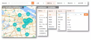 百度蜘蛛池效果:蜘蛛池优化，提升网销效率的关键策略