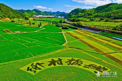 百度蜘蛛池引流:自养蜘蛛池出租，创新农业模式，助力乡村振兴