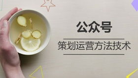 百度蜘蛛池引流:洗碗池下面有蜘蛛，家居清洁攻略助你一臂之力