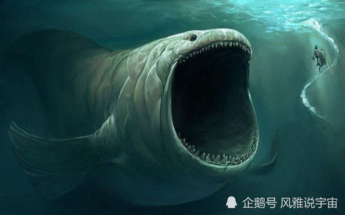 百度蜘蛛池咨询:深海奇迹，蜘蛛蟹在养池中的繁衍生息