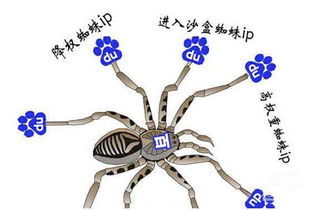 百度蜘蛛池出租:鞍上池蜘蛛网囊肿，一种罕见的神经系统疾病解析