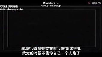 百度蜘蛛池引流:搭建谷歌蜘蛛池，你需要知道的五个关键要素