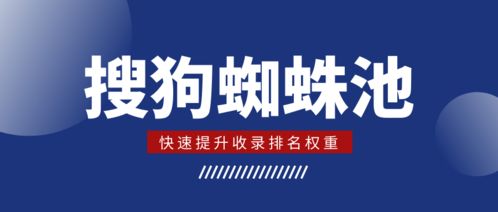 百度蜘蛛池收录:搜狗蜘蛛池服务助力百度推广，网络营销新策略