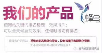 上海网站seo外包