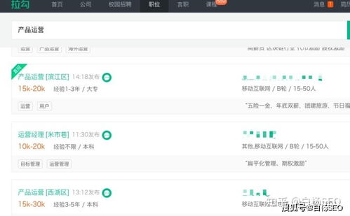 网站运营专员