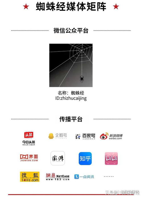 百度蜘蛛池效果:揭秘小旋风蜘蛛池站群程序，高效SEO的秘密武器