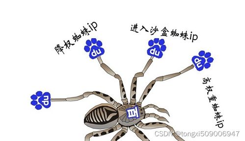 百度蜘蛛池租用:蜘蛛池搭建视频教学，轻松掌握SEO优化利器