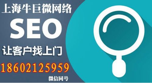 seo上海网站推广