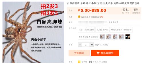 百度蜘蛛池优化:淘宝蜘蛛池，真的有用吗？