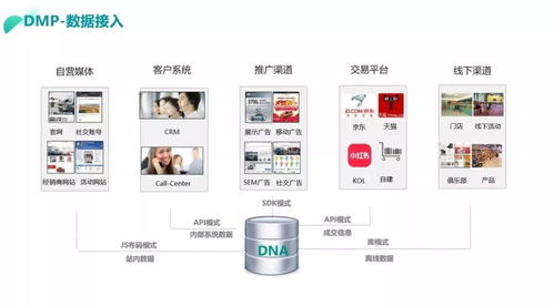 网站接广告平台