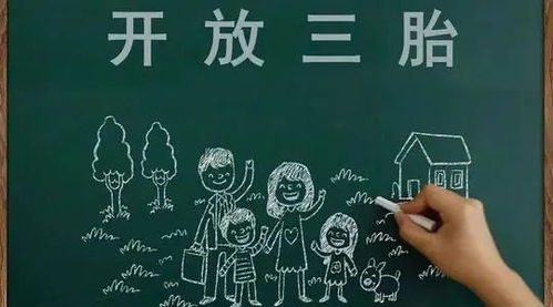 百度蜘蛛池效果:蜘蛛矿池重要公告，升级维护及挖矿政策调整