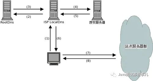 百度蜘蛛池引流:构建高效蜘蛛池，一个域名如何打造蜘蛛网络帝国