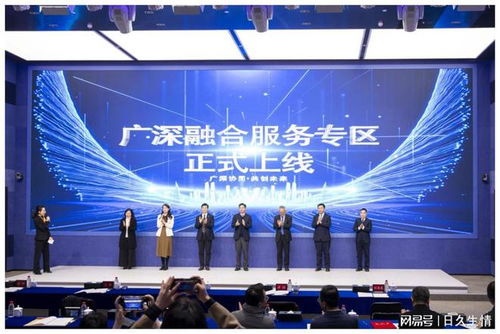 深圳优化服务