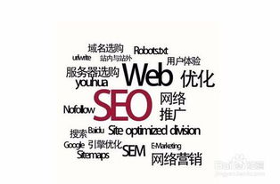 seo免费优化
