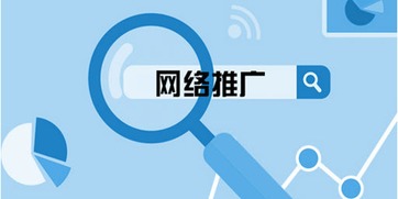 百度蜘蛛池出租:蜘蛛池推广品牌，高效网络营销新策略