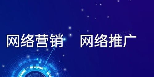 网络推广seo怎么弄