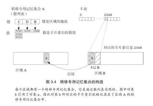 百度蜘蛛池优化:深入解析蜘蛛池原理及高效构建方法