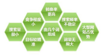 网站权重等级