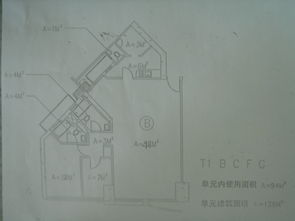 百度蜘蛛池收录:揭秘百度蜘蛛池搭建，图纸解析与实操步骤详解
