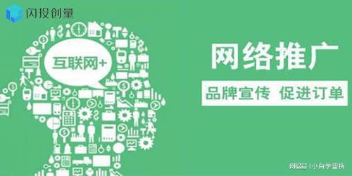 百度蜘蛛池优化:浙江蜘蛛池租用服务，助力企业高效开展网络营销