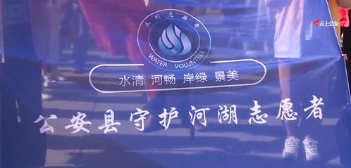 百度蜘蛛池引流:池陆抓蜘蛛，一场人与自然的和谐互动