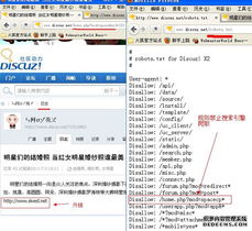 百度蜘蛛池咨询:蜘蛛池外链留痕，是放别人的外链吗？揭秘SEO优化中的常见误区